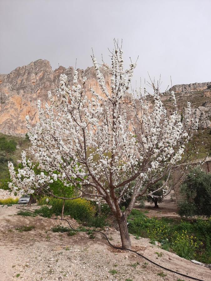Cortijo El Chorreadero En Parque Natural Sierra De Cazorla Los Rosales  Kültér fotó