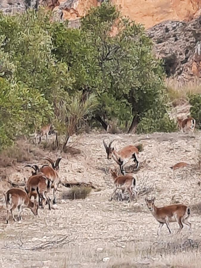 Cortijo El Chorreadero En Parque Natural Sierra De Cazorla Los Rosales  Kültér fotó