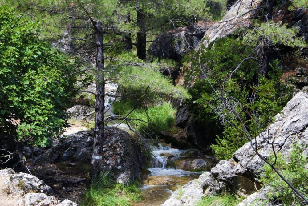 Cortijo El Chorreadero En Parque Natural Sierra De Cazorla Los Rosales  Kültér fotó