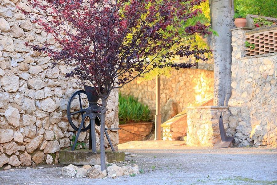 Cortijo El Chorreadero En Parque Natural Sierra De Cazorla Los Rosales  Kültér fotó